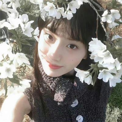 复仇歼敌记